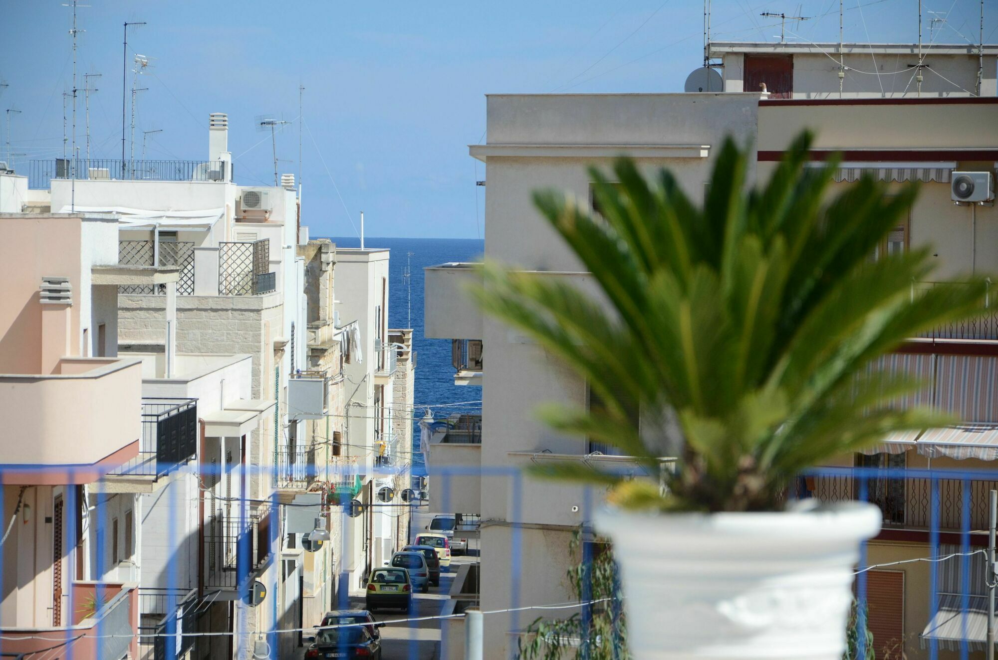 Dimora Petruzzelli Bed & Breakfast Polignano a Mare Bagian luar foto
